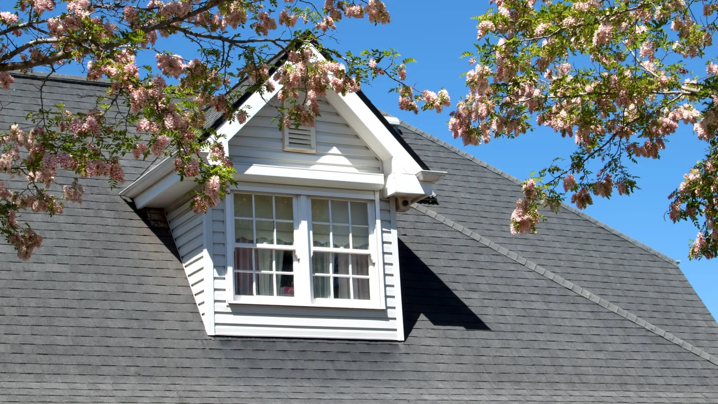 Roof Replacement